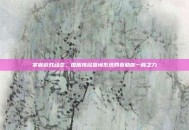 掌握游戏动态，国服排名查询系统网页助你一臂之力
