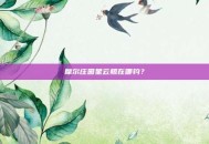 摩尔庄园星云鲸在哪钓？