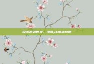 探索游戏世界，漫游pk加点攻略