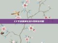 CF手游雷神礼包5号背包攻略