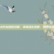 球球大作战颜色攻略，掌握色彩搭配，提升游戏体验