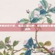 三国志单机游戏下载，重温三国经典，体验策略与智谋的完美结合