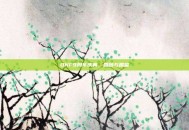 DNF9周年庆典，回顾与展望