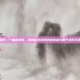 二十载仙剑梦，一曲未央歌，致我们终将逝去的青春与那个求而不得的激活码