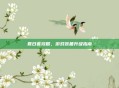 夏日套攻略，游戏装备升级指南