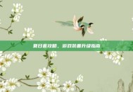 夏日套攻略，游戏装备升级指南