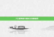FC版勇者斗恶龙3攻略指南