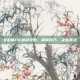 女机械PK加点攻略，掌握技巧，决胜赛场