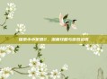 探索小小军团2,深度攻略与游戏资讯