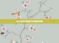 龙之谷影舞者PK加点攻略