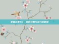 掌握元素TD，游戏攻略与技巧全解析