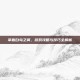 掌握白鸟之翼，游戏攻略与技巧全解析
