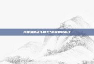 揭秘暗黑破坏神3公测的神秘面纱