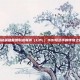 揭秘英雄联盟职业联赛（LPL）001号选手的传奇之路