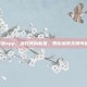 蜜源app，游戏界的新星，带你探索无限可能！