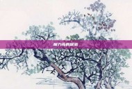 魔力岛的秘密