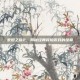 泰坦之旅2，揭秘经典冒险游戏的续章