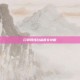 口袋妖怪白金图文攻略