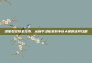 绿宝石冒险全指南，从新手训练家到丰缘大师的进阶攻略