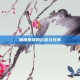 加祖里奇的沉默与狂奔