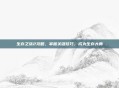 生存之旅2攻略，掌握关键技巧，成为生存大师