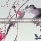 盗贼加点攻略，游戏中的潜行者如何成为真正的高手