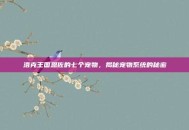 洛克王国恩佐的七个宠物，揭秘宠物系统的秘密