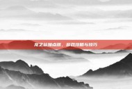 龙之谷加点器，游戏攻略与技巧