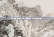探索流星蝴蝶剑无限气通用版，游戏攻略与技巧
