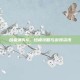 合金弹头4，终极攻略与游戏资讯