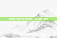 掌握圣光迪莫技能石的奥秘，游戏攻略与技巧