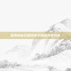 探索我本沉默传奇手游的无限可能