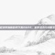 实况足球网易版官网下载2022，游戏资讯与攻略全解析
