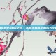 马哥的PUBG之路，从新手到高手的成长历程