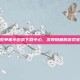 探索单机小游戏下载中心，发现隐藏的游戏宝藏
