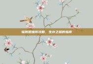 辐射避难所攻略，生存之路的指南