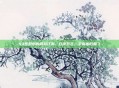 93岁奶奶的网游江湖，白发苍苍，手指依旧翻飞