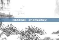 三国杀音效加分，提升游戏体验的秘诀