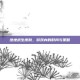 绝地求生皮肤，游戏内的时尚与策略