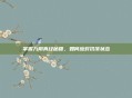 掌握九阴真经秘籍，如何应对饥饿状态