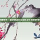 让雄鹰听懂号令—追忆鹰击长空汉化补丁背后的情怀与坚守