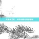 克罗米之死，游戏攻略与深度解析