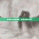探索Duma的奥秘，游戏攻略与技巧