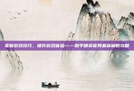 掌握游戏技巧，提升游戏体验——和平精英官网最高帧数攻略