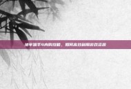 地牢猎手4内购攻略，如何高效利用游戏资源