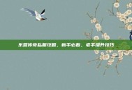 东营传奇私服攻略，新手必看，老手提升技巧