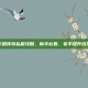 东营传奇私服攻略，新手必看，老手提升技巧