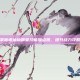 掌握诛仙仙辰皇技能加点图，提升战力攻略
