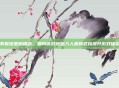 掌握流星蝴蝶剑，如何高效地加入人机模式以提升游戏体验