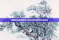 电脑版流星蝴蝶剑大招出招表解析与实战指南